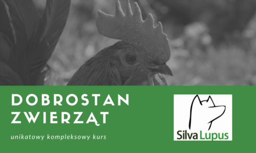 Kurs Dobrostan Zwierząt 2024 – pierwsze takie szkolenie w Polsce