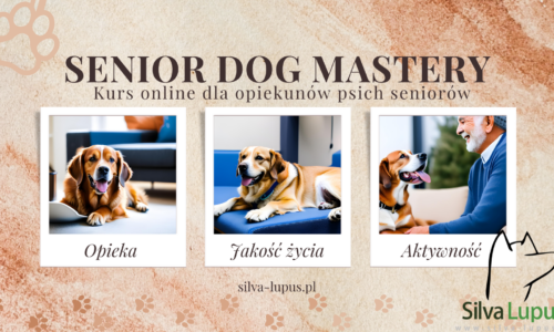 Senior Dog Mastery: Kurs opieki nad psim seniorem