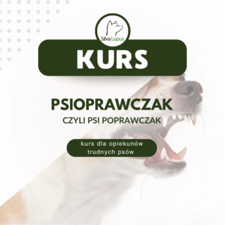 PSIOprawczak czyli psi poprawczak - kurs dla opiekunów trudnych psów